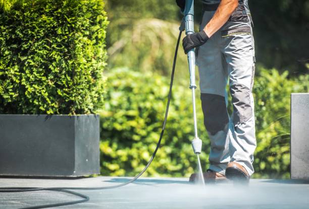 Best Animal Enclosure Cleaning  in Fort Dodge, IA
